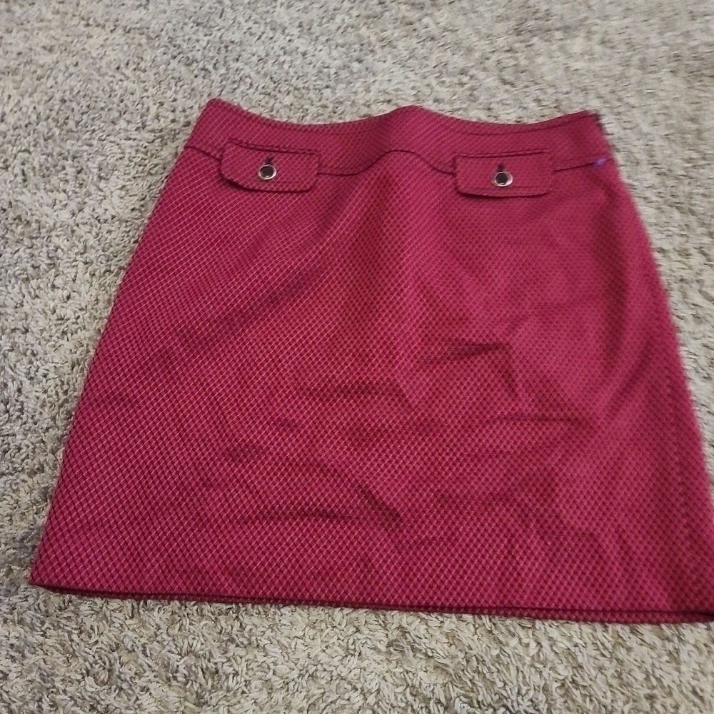 ANNE Taylor Loft skirt size 10